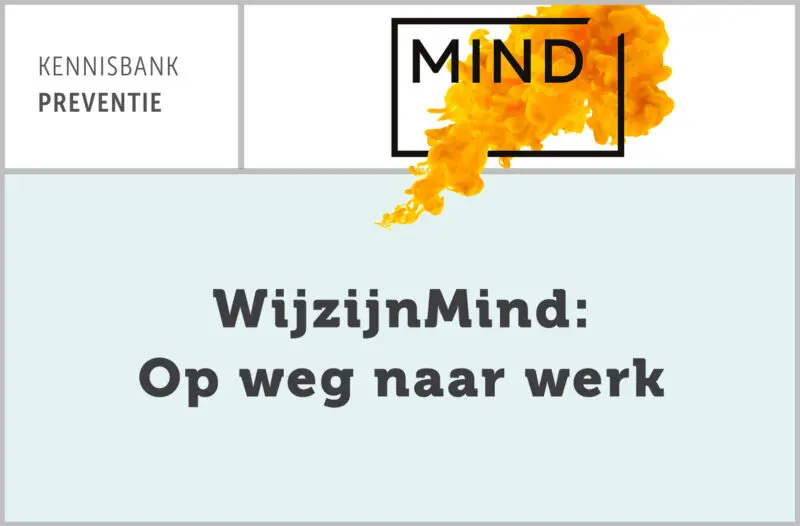 WijzijnMind: Op weg naar werk